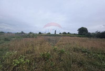 Casă individuală cu 4 camere cu Teren 6110 Mp în Girov - 41