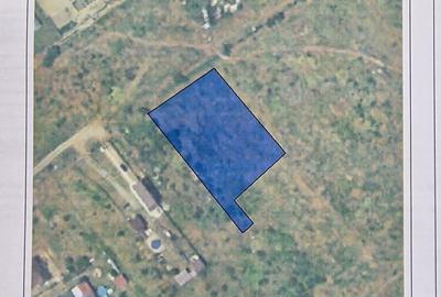 Teren de 2200 mp, în Broșteni - 1