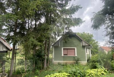 Casa tradi?ionala cu teren generos Belin - 3