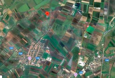 Teren de vanzare / extravilan 30.000mp/ Halchiu - 5