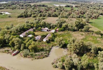 Teren de 11862 mp, în Vulturu - 8