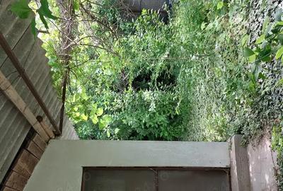 Casa si teren Murighiol - 7