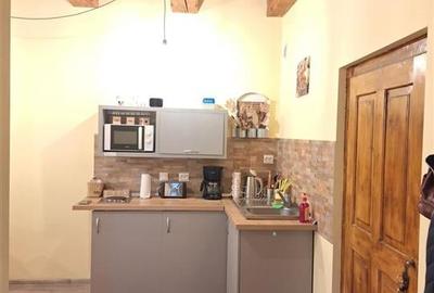 Apartament mobilat si utilat, centrul istoric - 3