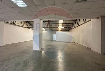 Spatii industriale premium - 9