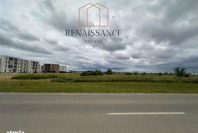 Spațiu comercial, în Moșnița Nouă