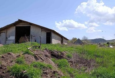 Casă cu 2 camere cu Teren 5300 Mp în Sânpaul - 2