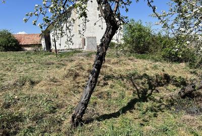 Casă cu 4 camere în Sântămăria-Orlea - 5