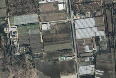 Teren de 400000 mp, în Almăj - 1