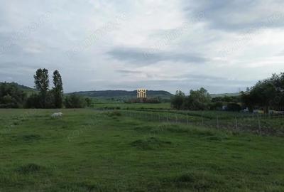 Teren de 3953 mp, în Fălticeni - 10