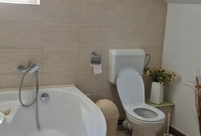Casă cu 4 camere în Sânmihaiu German - 4
