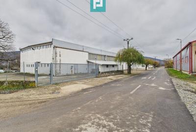 Hală cu teren intravilan de 3500 mp, în Sebiș Arad - 1