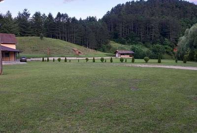 Casă cu 4 camere cu Teren 15000 Mp în Luna - 3