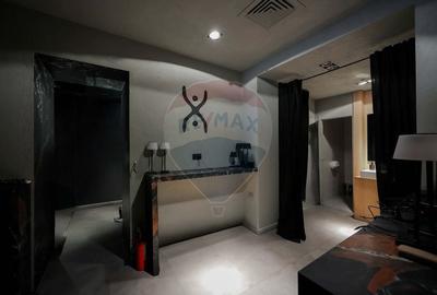 De vanzare -- Spatiu comercial parter 409 mp, Vasile Alecsandri - 10