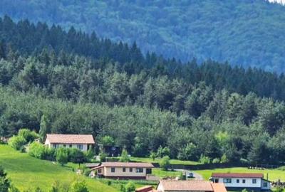 Casă cu 4 camere cu Teren 770 Mp în Covasna - 3