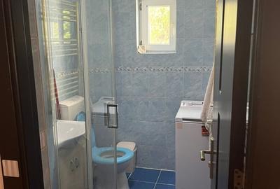 Prelungirea Ferentari, Salaj - 9