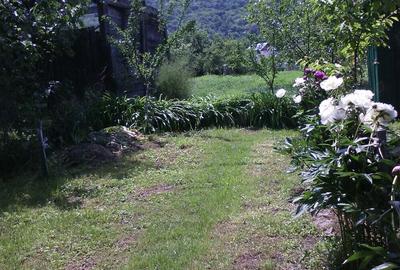 Vand teren intravilan de 12 ari - cu casa (nelocuibila) + curte + gradina - Nasaud, Bistri?a-Nasaud - 2