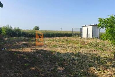 Teren agricol intravilan de 5200 mp, în Izvoru Dulce (Merei)