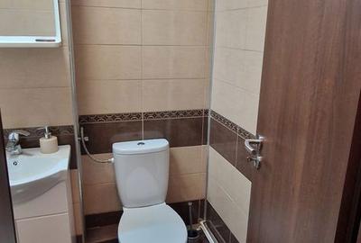 Apartament cu 2 camere semidecomandat în Cristian - 12