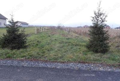 Spațiu comercial, în Mocira - 3