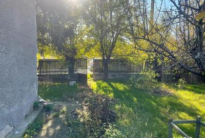 Casă cu 3 camere în Central - 4