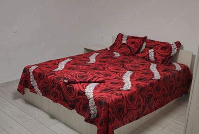 Inchiriat casa Slatina strada liliacului - 1