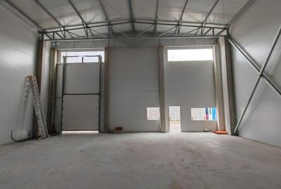 Spatiu depozitare/productie 500 mp, zona Sud - 2