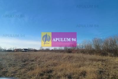 Săbăreni, teren 6200 mp, construibil, cu utilități - 3