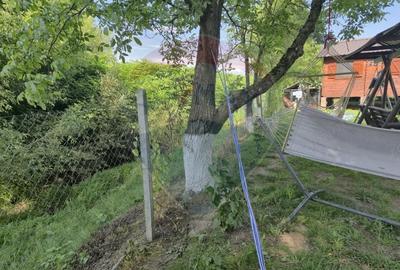 Casă cu 3 camere cu Teren 1268 Mp în Săpânța - 1