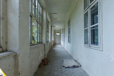 Casa traditionala din caramida de 534 mp cu 4 camere in Neudorf - 21