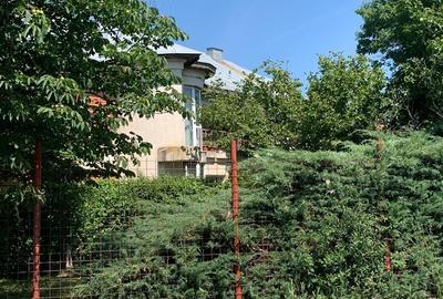 Teren intravilan de 490000 mp, în Iancu Jianu - 27