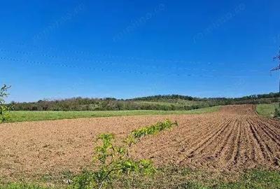 Cota de 1/2 din teren extravilan, comuna Rogova, Jud Mehedinti CP2549956 - 2