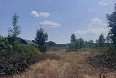 Teren generos, intravilan, 13.518 mp, Marginea - 2