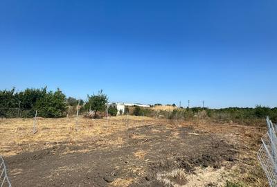 Teren de vânzare în Chiajna, situat pe strada Luceafărului nr. 27 - 7