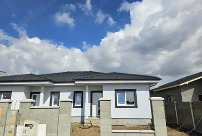 Casă cu Teren 290 Mp în Moșnița Veche