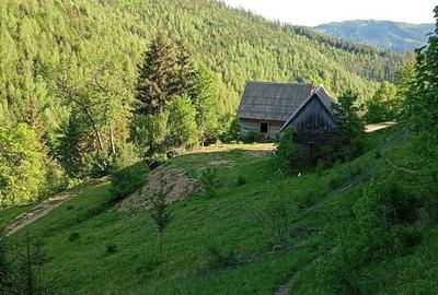 Casă cu 2 camere în Horea - 4