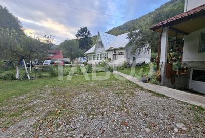 Spatiu de vanzare in Valea Macesului judel Valcea iesire la Lotru - 37