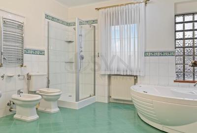 REV2005071 Vila Deosebita cu piscina Erou Iancu Nicolae - 7