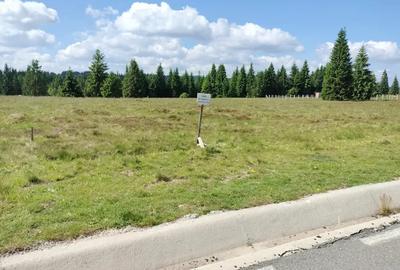 Teren de 1000 mp, în Beliș - 4
