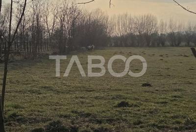 Teren de 540 mp, în Central