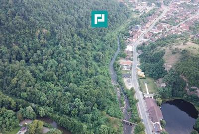 Teren Intravilan, in ora?ul Sebi?, Arad - 19