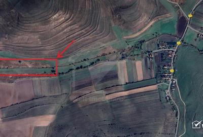 21.500 mp de teren cu privelisti superbe in Valea Agrisului (comuna Iara) - 3