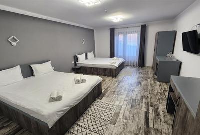 Casă individuală cu 12 camere cu Canalizare în Voroneț - 9