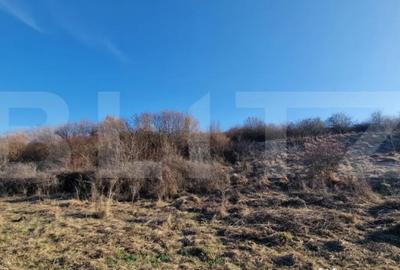 Teren în Florești - 3