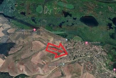 Teren de 4000 mp, în Somova - 1