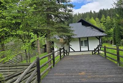 Casă cu Teren 2000 Mp în Mălini - 11