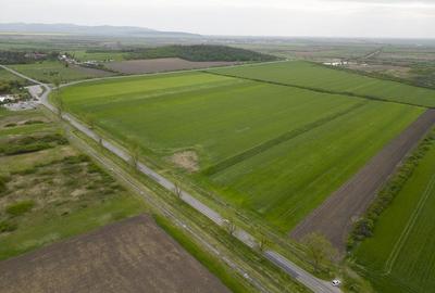 Teren extravilan de 22500mp Zona Ineu - 7