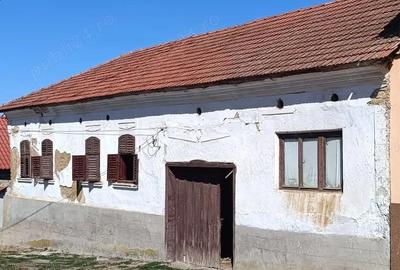 Casă cu Teren 1200 Mp în Ticvaniu Mic - 1