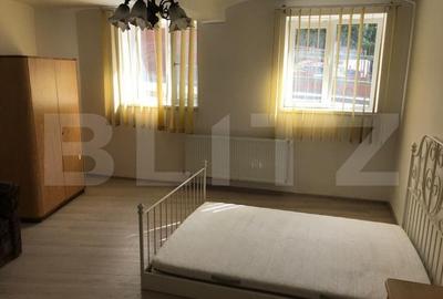 Casa cu 2 imobile, 2 camere, 140mp, Central - 10