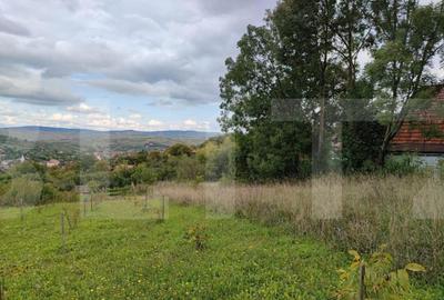 Teren intravilan construibil, 1196 mp, pentru o casa, in Coj - 2