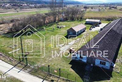 Spațiu comercial, în Mohu - 1